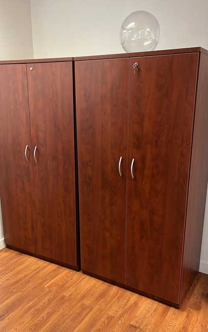2 Door Storage Cabinet with 4 Shelves