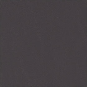 Charcoal
