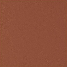 Cinnamon