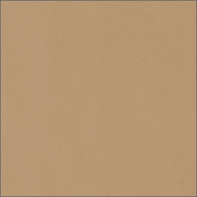 Light Sand