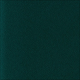 Spruce