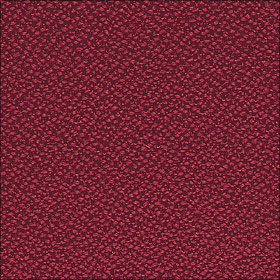 Shiraz