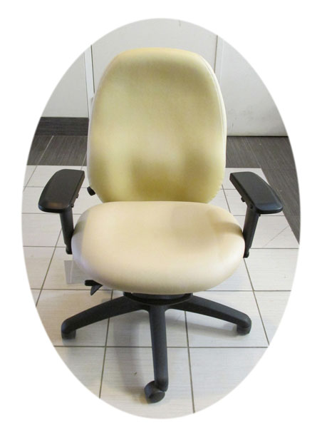 Used Dexter Chair, Used health care chairs, Toronto GTA