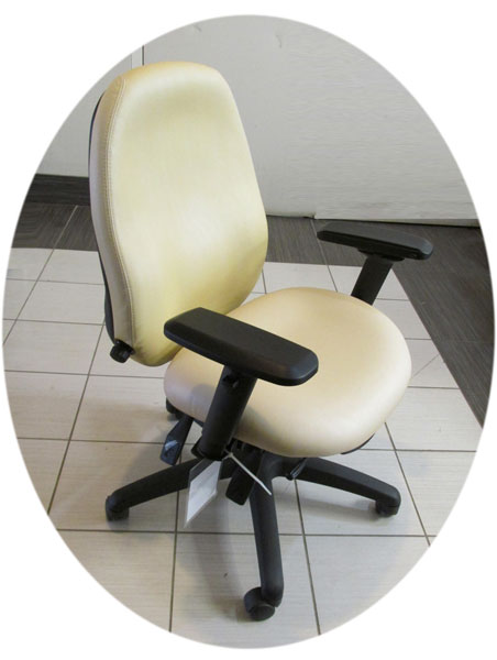 Used Dexter Chair, Used health care chairs, Toronto GTA