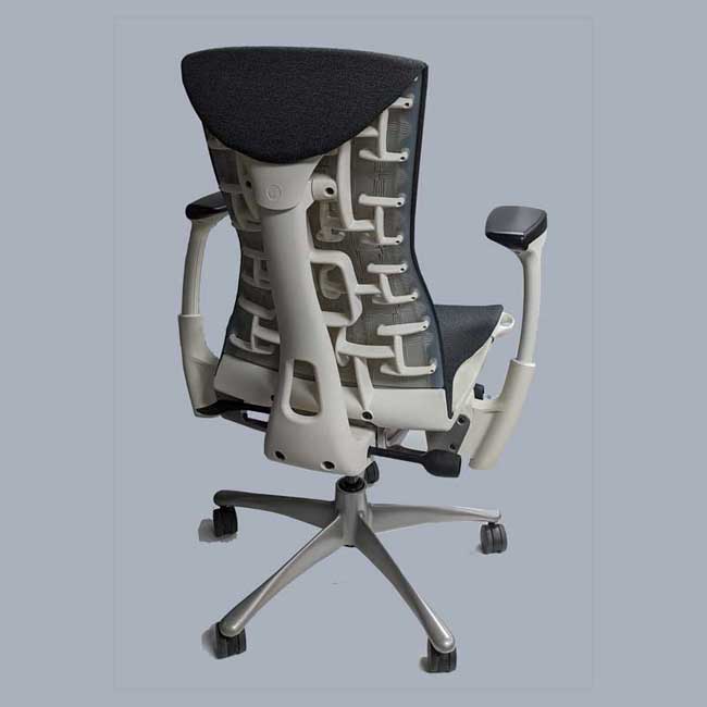 Used Herman Miller Embody Chair, rear view