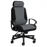 Robust High Back 500 Lbs, 